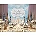 Allenjoy 7x5ft Winter Wonderland Theme Backdrop for Girl Party Decoration Sweet 6th 1st Birthday Banner Supplies Festival Sky Blue White Snowfall Background Girl's Christmas Princess Baby Shower Decor
