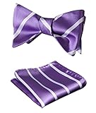 SetSense Men's Stripe Jacquard Woven Self Bow Tie Set