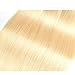 ALLRUN Straight Human Hair 613 Blonde Hair Bundles With Closure Free Part Grade 7A Brazilian Human Hair Double Weft Bleached Blonde Hair(12 14 16 +10