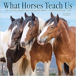 Christmas In July Sales 2022 Horse What Horses Teach Us 2022 Wall Calendar: Amazon.co.uk: Willow Creek:  9781549220067: Books