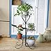 ZGXY Plant Stand Metal Flower Holder Pot with 4 tier Garden Decoration Display Wrought Iron 4 Layers Planter Rack Shelf Organizer for Garden Home Office Black