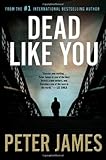 Dead Like You (Detective Superintendent Roy Grace, Book 6)