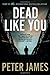 Dead Like You (Detective Superintendent Roy Grace, Book 6)