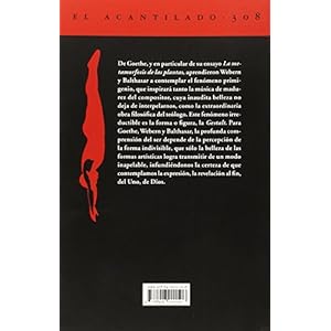 El camino hacia la forma