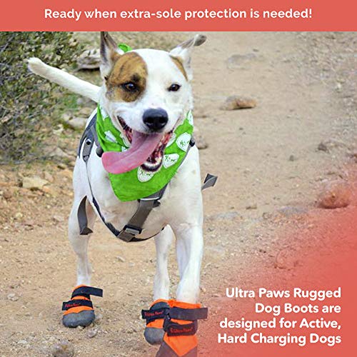 heavy duty dog boots