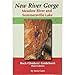 New River Gorge, Meadow River and Summersville Lake Rock Climbers' Guidebook 0967827043 Book Cover