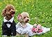 Beirui 20pcs Cute Dog Hair Bows with Rubber Bands - Adorable Rhinestone Bow for Long Hair Dog & Kitten