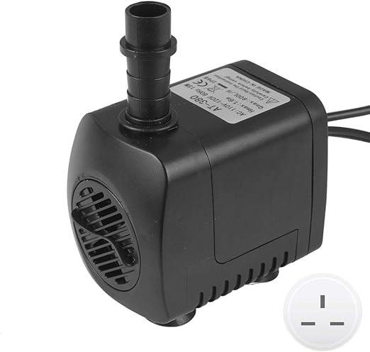 fancy cats rescue team