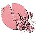 Cargo Cosmetics - Swimmables Longwear Blush, High Pigment, Buildable, Blendable, Water Resistant Ibiza
