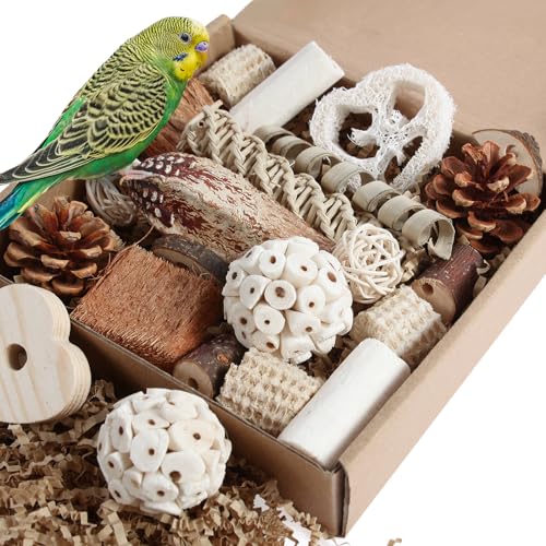 Kyouki Natural Foraging Box