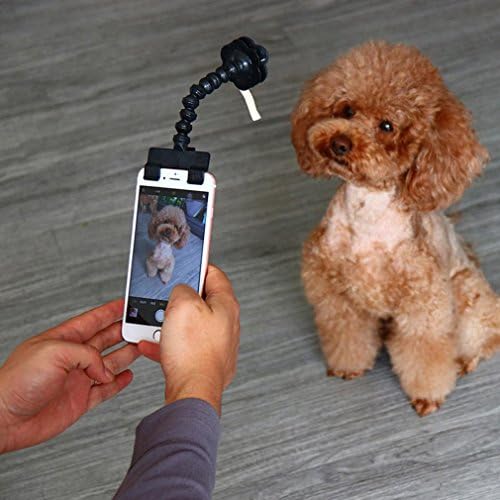 Kolylong Portable Pet Selfie Stick Phone Attachment Dog Cat Take Photos Training Toy