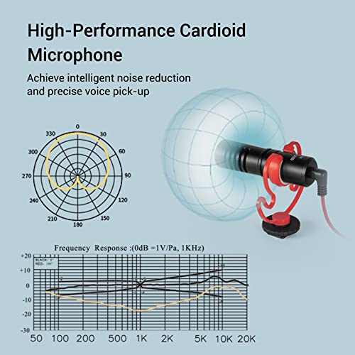 SmallRig Universal Smartphone Video Rig Kit for iPhone, All in One