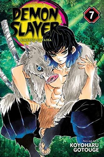 Amazon.com: Demon Slayer: Kimetsu no Yaiba, Vol. 16: Undying
