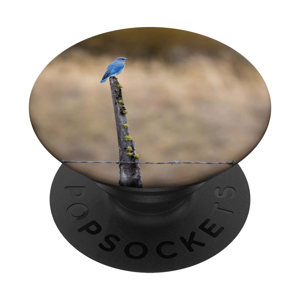 Bluebird PopSockets Swappable PopGrip