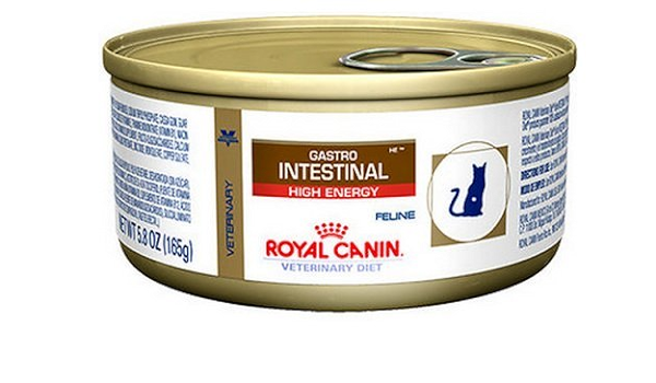 royal canin cat food gastrointestinal high energy