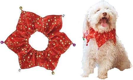 accesorios perros amazon