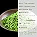 JadeVale Matcha Green Tea Powder - Premium Culinary Grade - USDA Organic - Powerful Antioxidant - Perfect for Baking, Smoothies, Latte, Iced Tea. Gluten & Sugar Free 4oz /113g