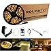 ROLiGHTiC LED Strip Light 16.4ft 300leds Warm White 3000K 3528 Led Tape Lights Full Kit with RF Remote Dimmer & 2A Power Supply for Home Lighting, Indoor Decoration (Warm White)