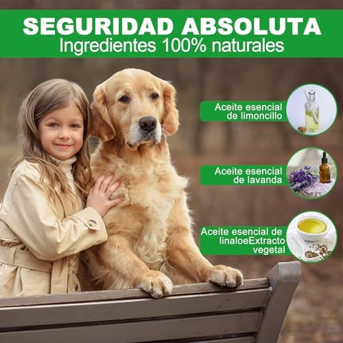 Collar Antiparasitario Perros, Seguro y Eficaz Collares Antiparasitos Perros, 12 Meses de Eficacia Collar Antipulgas Perro de 65 cm para Perro Pequeños, Medianos y Grandes (65cm*2)