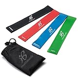 Resistance Loop Bands - Set of 4 Fitness Elastic Bands for Workout or Physical Therapy