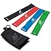 Resistance Loop Bands - Set of 4 Fitness Elastic Bands for Workout or Physical Therapy