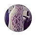 Fedi Apparel Lace Beach Sundress Sexy Deep-V Long Sleeve See-Through Maxi Dress White Asian XXL