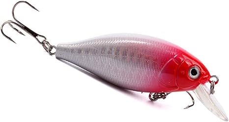 hard life bait and tackle