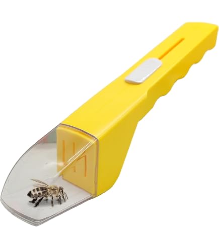 Ramasse Araignée Attrape-Insectes Noir Portatif - Piège à Insectes Vivants Sans Colle, Outil De Capture Écologique Pour Maison, Jardin Et Enfants
