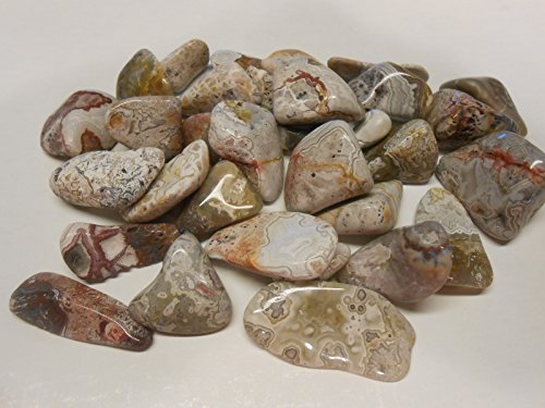 Rock Tumbler Gem Refill Kit Mexican Crazy Lace Agate Rough 8oz