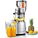AMZCHEF Professional Slow Juicer, Vegetable & Fruit Juicer Machine, Two speeds, Silent motor ≤60dB, Cleaning brush & Juice jug Include, (150 Watts/Silver grey)