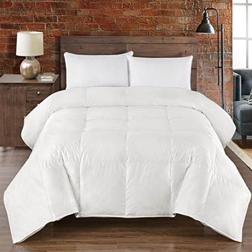 sheetsnthings Silk Goose Down Comforters: King/California King Size -700 Fill Power, Filled With 56 ounces of White Goose Down- Heavy Winter Fill Duvet Insert