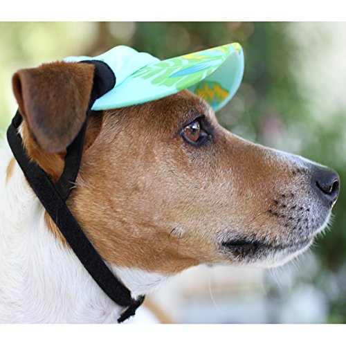 PlayaPup Sun Protective Dog Visors New eBay