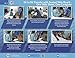 Pediatric Slide Sheet - 46