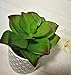 Pretty Home Potted Artificial Succulent Plants, Set of 3, Tile Pattern Pots