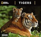 National Geographic Tigers 2020 Wall Calendar by