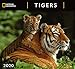 National Geographic Tigers 2020 Wall Calendar by