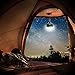 Camping Tent Lantern, Portable LED Hand Lamp Night Light Emergency Torch Mini Flashlight for Hiking Jogging Fishing Outdoor Indoor(2 Pack)