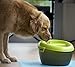 Dog H20 Large Dog Water Fountain 6 Liter - Automatic Filtered Pet Water Fountain for Dogs Raised Bowl Water Dispenser for Large Pets, Water Level Indicator - Multi-Pet, BPA-Free, Dishwasher Safe