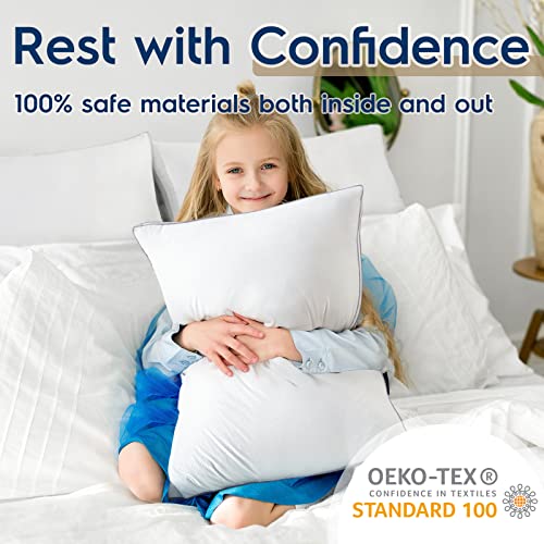 viewstar Pillows Standard Size Set of 2, Down Alternative Bed Pillows