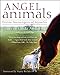 Angel Animals: Divine Messengers of Miracles by Allen Anderson, Linda Anderson