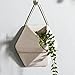 Purzest Wall Decor,Modern Hanging Planter Vase, Geometric Wall Decor Container - Great for Succulent Plants, Air Plant, Faux Plants,White Ceramic/Brass