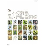 日本の野鳥 鳴き声映像図鑑 DVD【NHKスクエア限定商品】