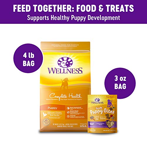 Wellness Complete Health Dry Puppy Food with Grains, 5 lb Bag and Soft