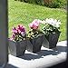 Root & Vessel 35088 Ella Square Planter, 8-Inch, Black