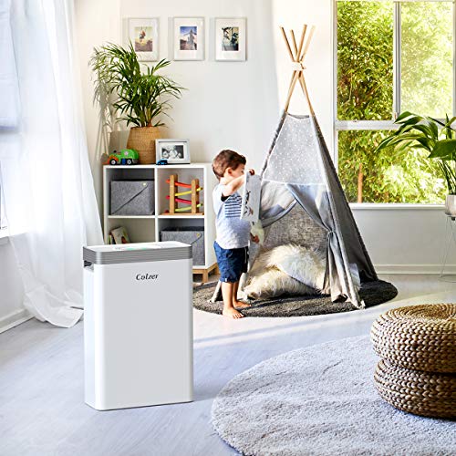 COLZER Air Purifier with True HEPA Air Filter, Air Purifier for Bedroom, for Spaces Up to 550 Sq Ft, Perfect for Home/Office with Composite Filter