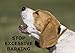 SAFETY-SPORT DOG HORN (Combo Pack Horn & Holster)