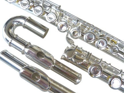 New Curved&Straight Head Silver Concert Band C flute w/Case.Approved+Warranty.
