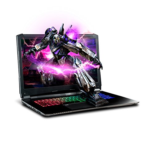 Gaming Laptop Gtx 1070 G Sync Sager Np8372 17 Fhd Ips G Sync