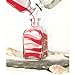 Clear Glass Square Roma Bottle