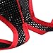MASS21 Men’s Counter Pouch Low Rise Jock Strap Supporter Sporty Thong Black Size L